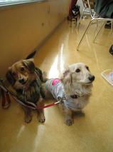 舞ちゃん＆Bigくん　T