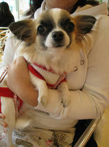 かのんちゃん　T