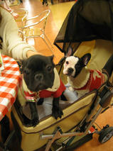 はじめちゃん＆はなちゃん　T