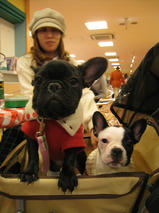 はじめちゃん＆はなちゃん　T