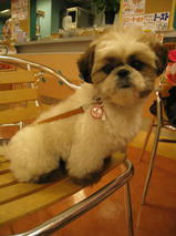 まるみちゃん　T