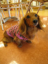 チャーミーちゃん＆トモちゃん　T