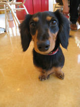 そらちゃん＆りんちゃん　T