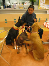 カーネリアンちゃん＆アルクウェードくん＆フィルちゃん　T