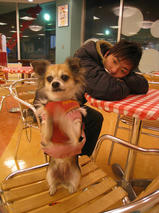 アッシュちゃん　T