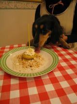 山本五十六くん＆タケオくん　T