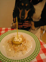 山本五十六くん＆タケオくん　T