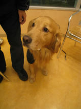 山本五十六くん＆タケオくん　T