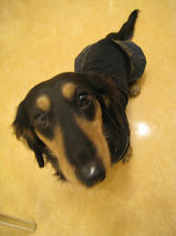 山本五十六くん＆タケオくん　T