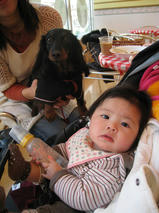 ももたんちゃん　Ｔ