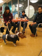 マックスくん＆アレックスくん　T