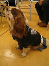 マックスくん＆アレックスくん　T