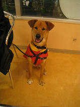 ジンくん＆レオくん　T