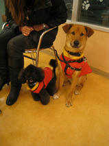 ジンくん＆レオくん　T