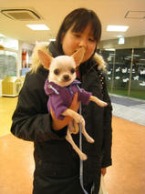 コタロウくん　T