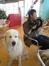 欧介くん＆修造くん　T