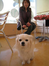 キルアちゃん　T