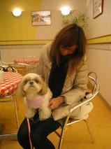 クッキーちゃん　T