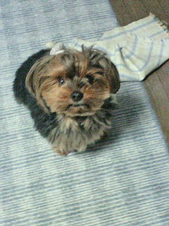 200901171751000.jpg