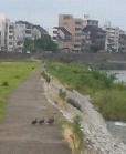 200907191111000.jpg