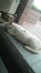 2009072513300000.jpg