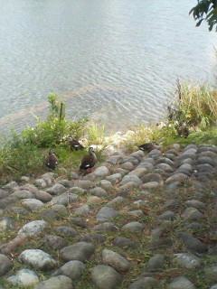200909101255000.jpg