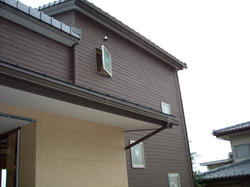 dd743b82.jpg
