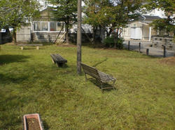 3ac452c0.jpg