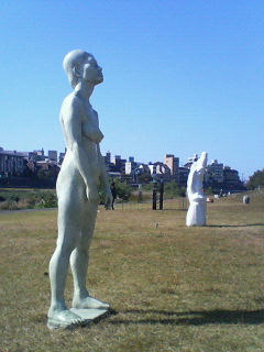 200910151322000.jpg