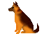image2680.gif