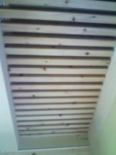 20100413150344.jpg