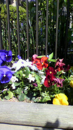 2010051714590000.jpg