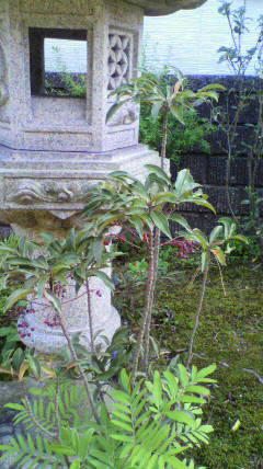 2010051714550000.jpg
