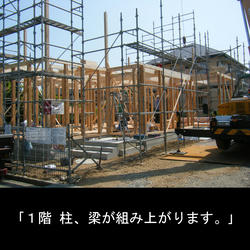 56edb572.JPG