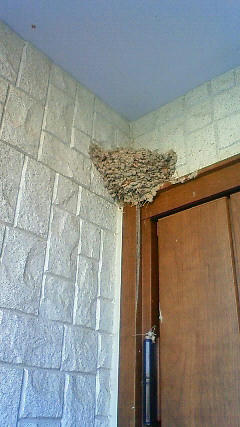 201007200639000.jpg