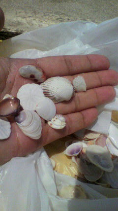 2010072412210000.jpg