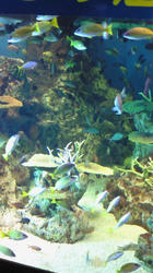 201007291255000.jpg