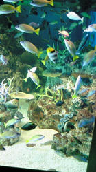 201007291255001.jpg