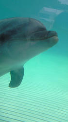 201007291350000.jpg