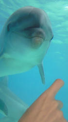 201007291117000.jpg