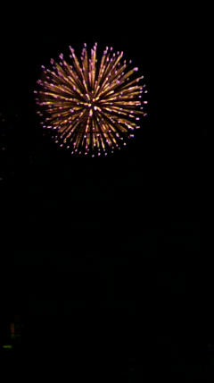 2010073120190001.jpg