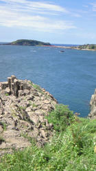 201007291409000.jpg