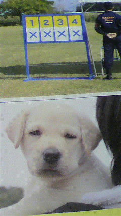 2010082809030000.jpg