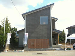 75b36a03.jpg