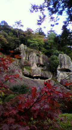 2010110314330000.jpg