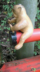 201011031452001.jpg