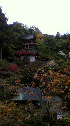 2010110314390000.jpg