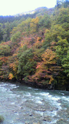 2010110312270000.jpg