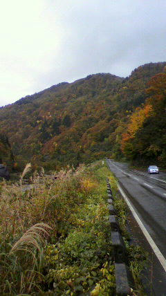 2010110311570000.jpg