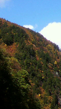 2010110312040000.jpg